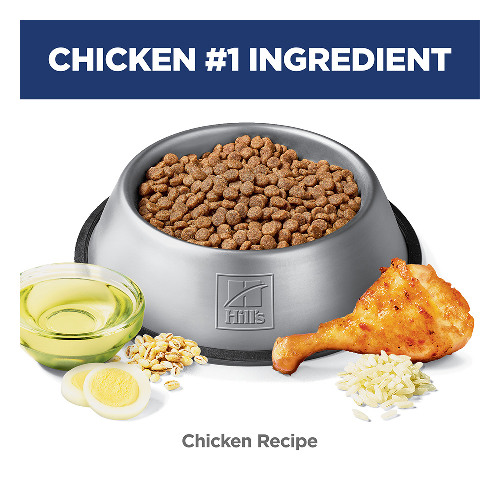 Hill's Science Diet Sensitive Stomach & Skin Small & Mini Adult Chicken Recipe Dry Dog Food