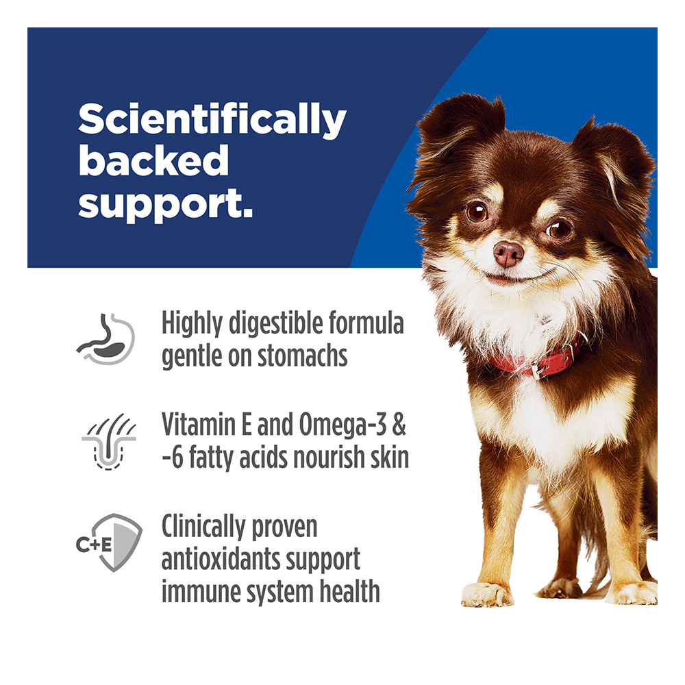 Hill's Science Diet Sensitive Stomach & Skin Small & Mini Adult Chicken Recipe Dry Dog Food