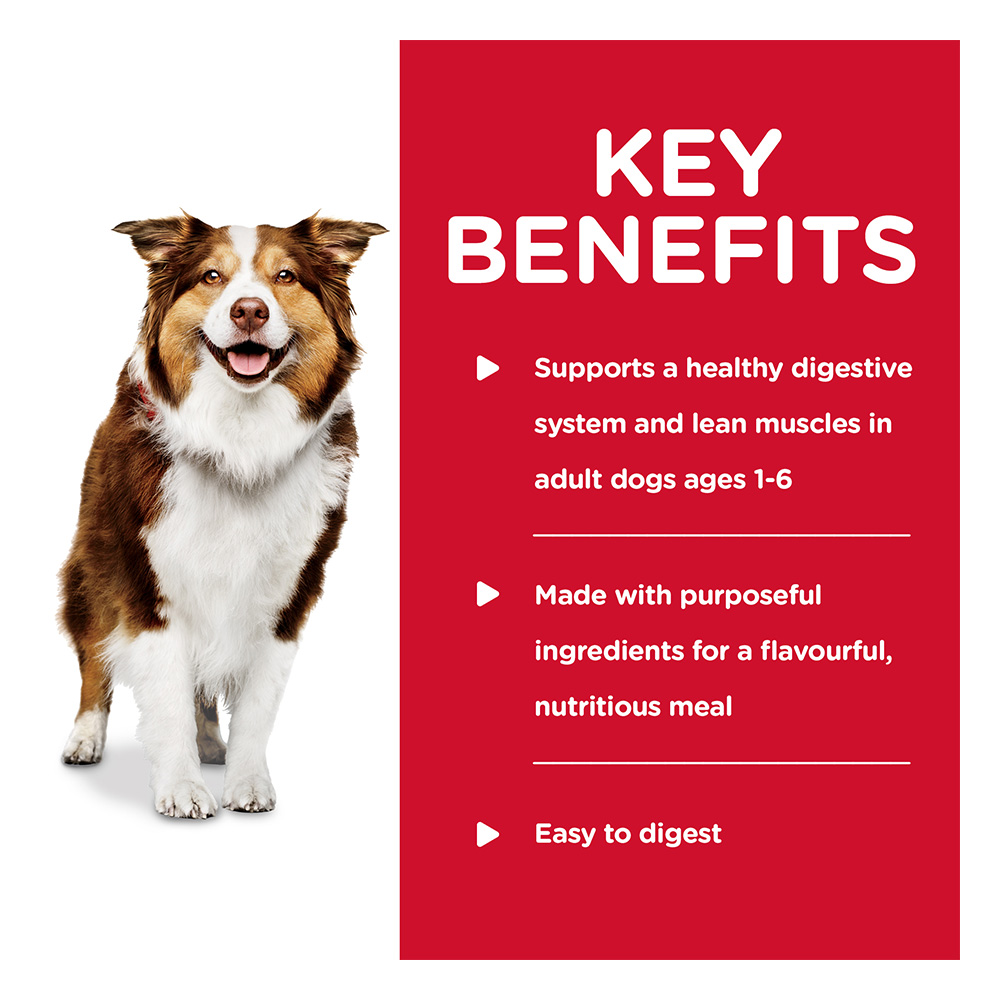 Hill's Science Diet Healthy Cuisine Adult 1-6 Braised Beef, Carrots & Peas Stew Wet Dog Food 354gm