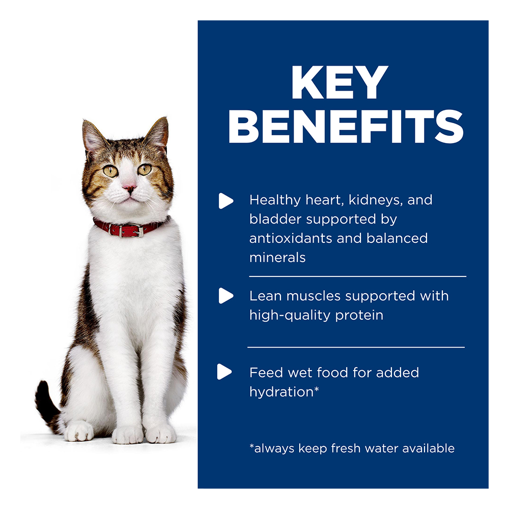 Hill's Science Diet Adult 7+ with Salmon Wet Cat Food 85gm