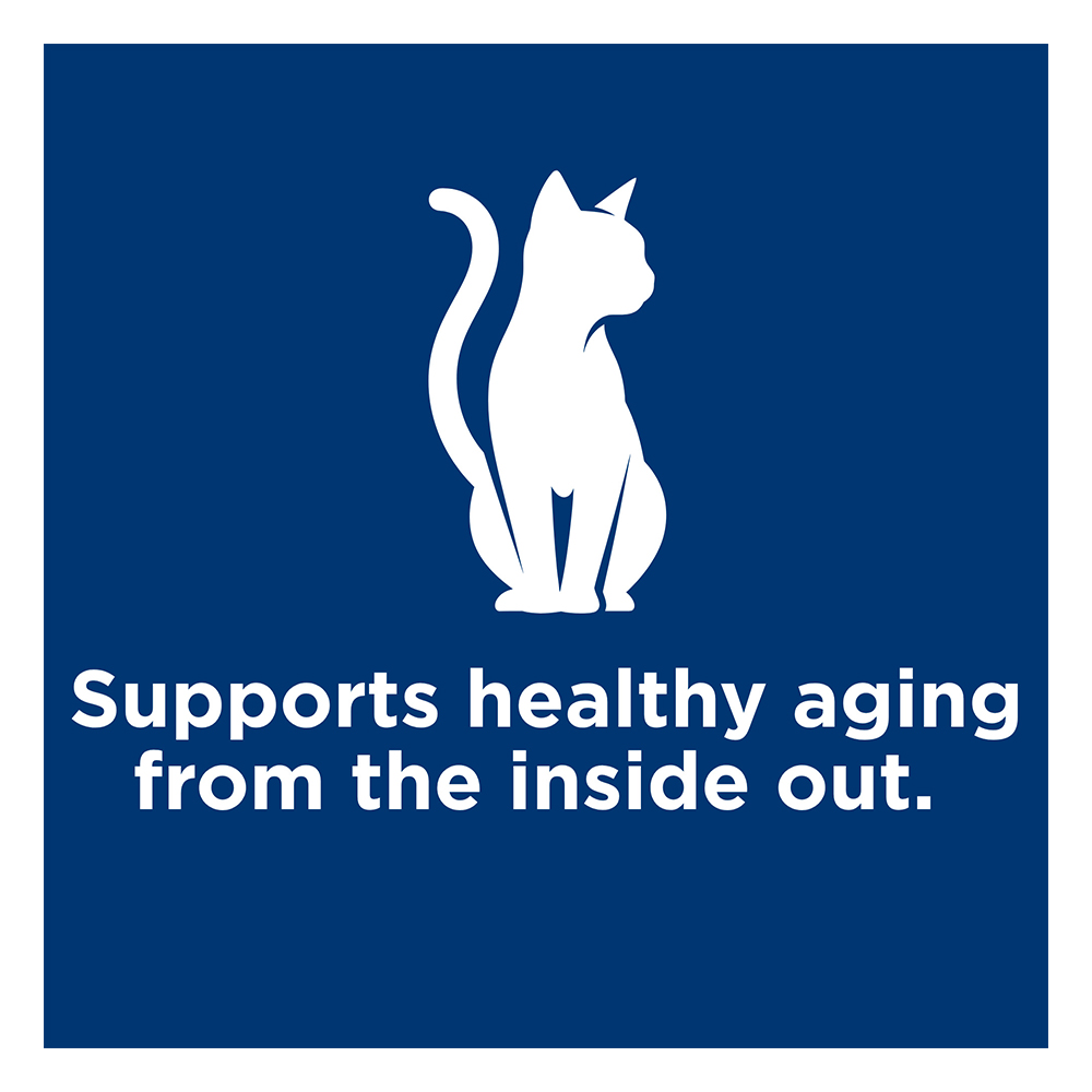 Hill's Science Diet Adult 7+ with Salmon Wet Cat Food 85gm
