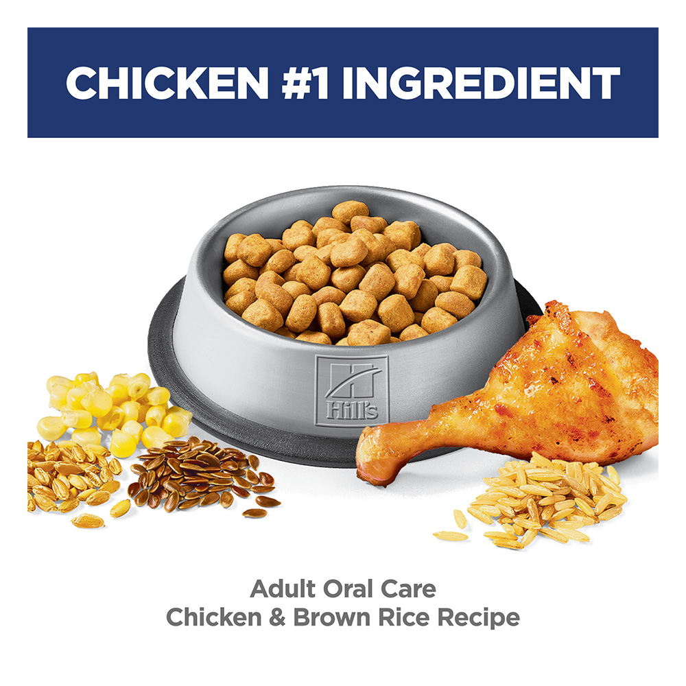 Hill's Science Diet Oral Care Adult Chicken Recipe Dry Cat Food