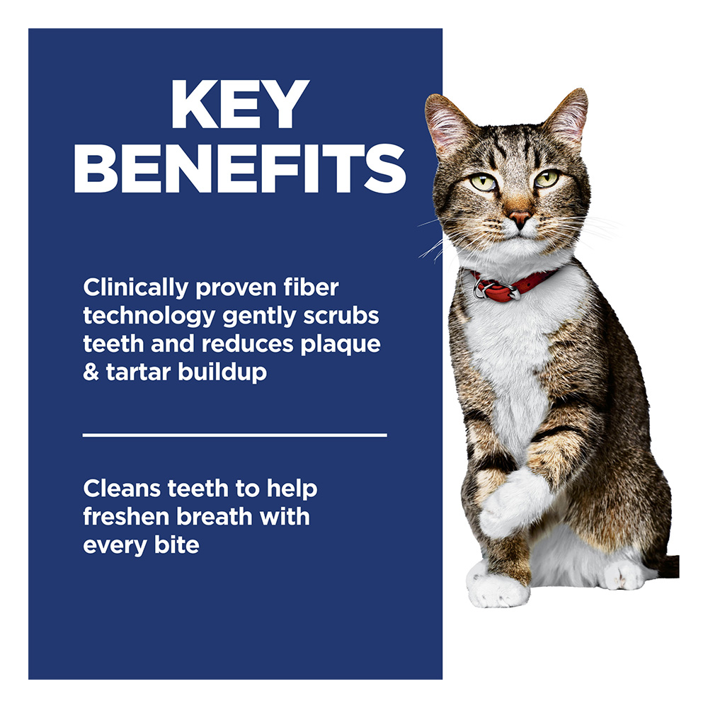 Hill's Science Diet Oral Care Adult Chicken Recipe Dry Cat Food