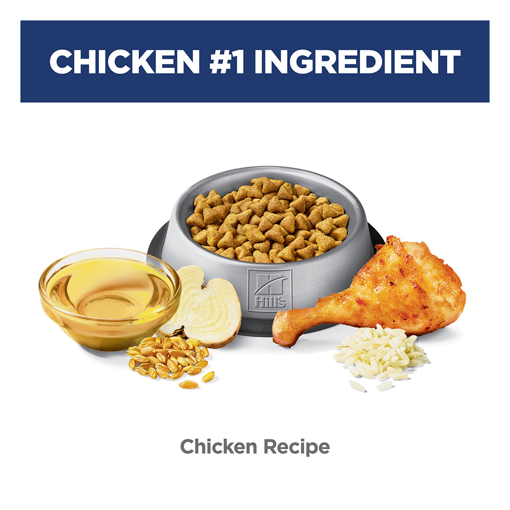 Hill's Science Diet Hairball Control Adult Chicken Recipe Dry Cat Food