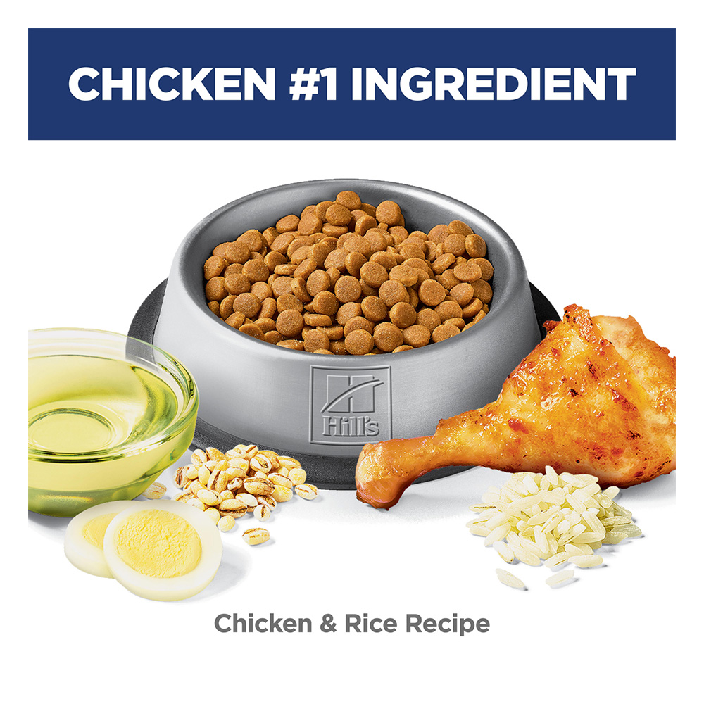 Hill's Science Diet Sensitive Stomach & Skin Adult Chicken & Rice Recipe Dry Cat Food