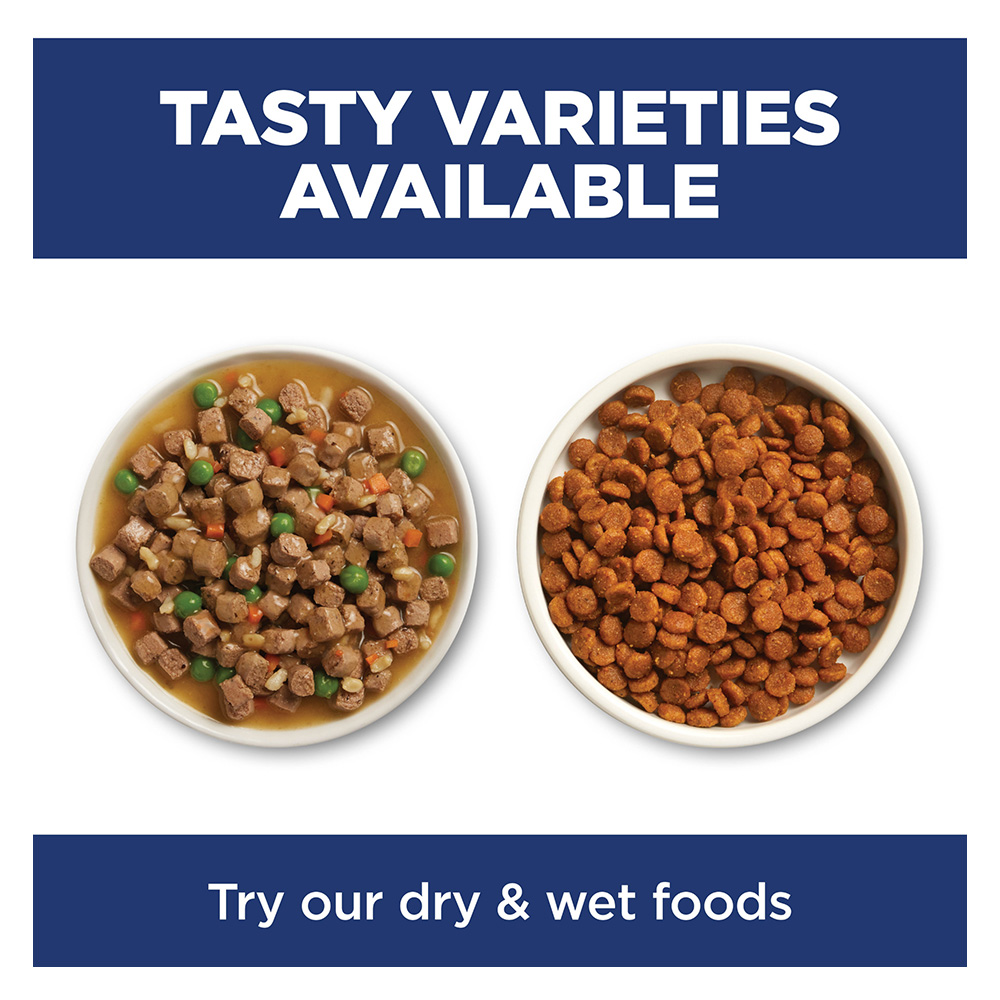 Hill's Science Diet Sensitive Stomach & Skin Adult Chicken & Rice Recipe Dry Cat Food