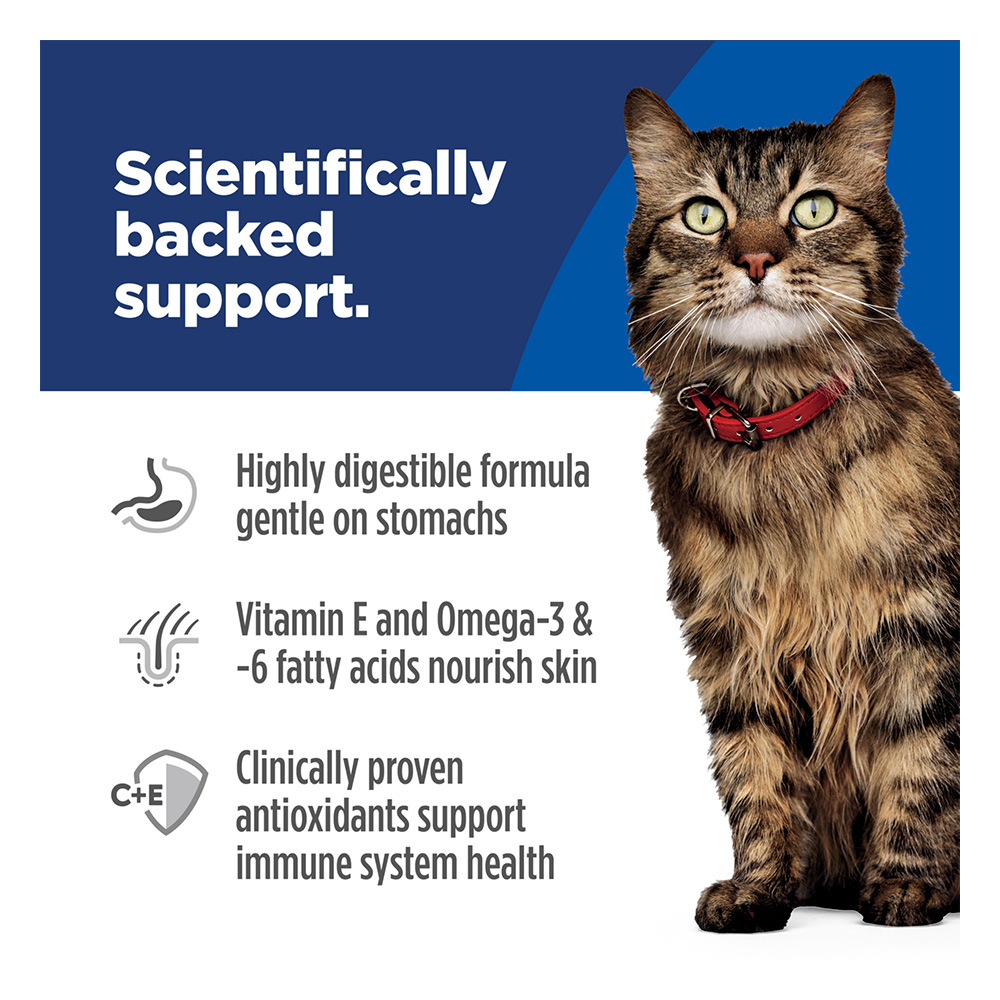 Hill's Science Diet Sensitive Stomach & Skin Adult Chicken & Rice Recipe Dry Cat Food