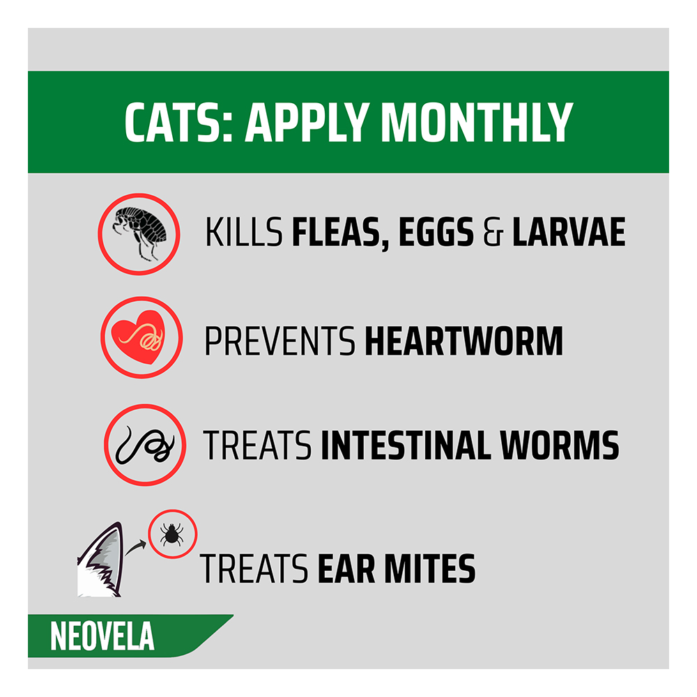 Neovela (Selamectin) Flea and Worming For Puppies and Kittens Upto 2.5 Kg Pink