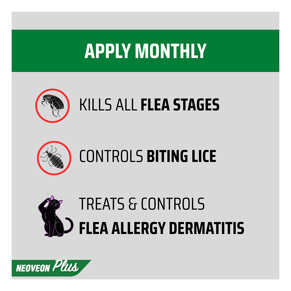 Neoveon Plus Fleas and Lice For Cats