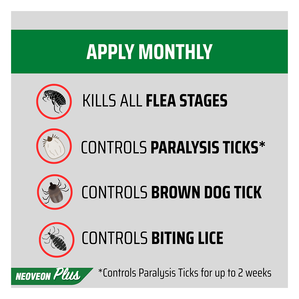 Neoveon Plus Flea and Tick For Medium Dogs 10 to 20kg Blue