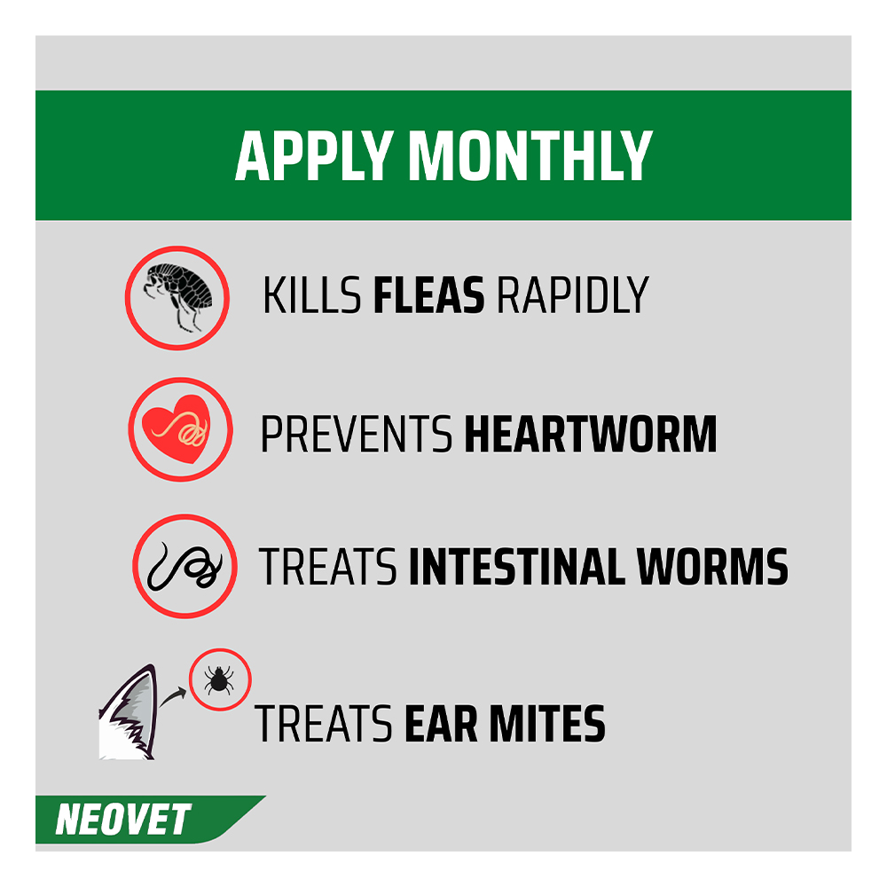 Neovet Flea and Worming For Cats over 4kg Purple