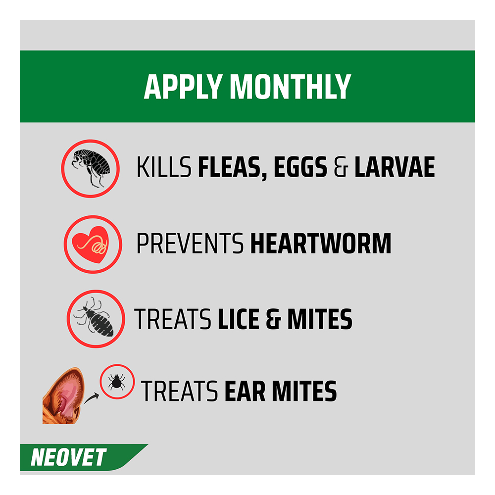 Neovet Flea and Worming For Medium Dogs 4 to 10kg Aqua