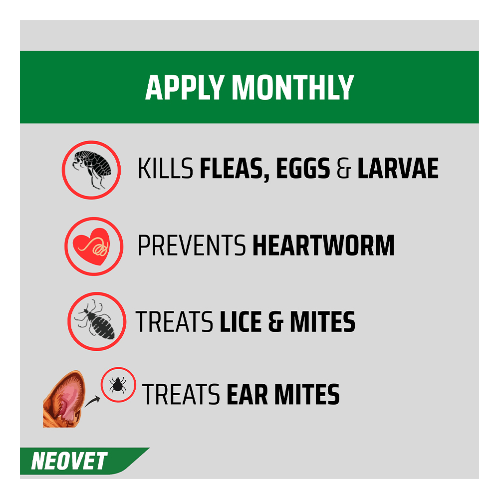 Neovet Flea and Worming For Extra Large Dogs Over 25Kg Blue