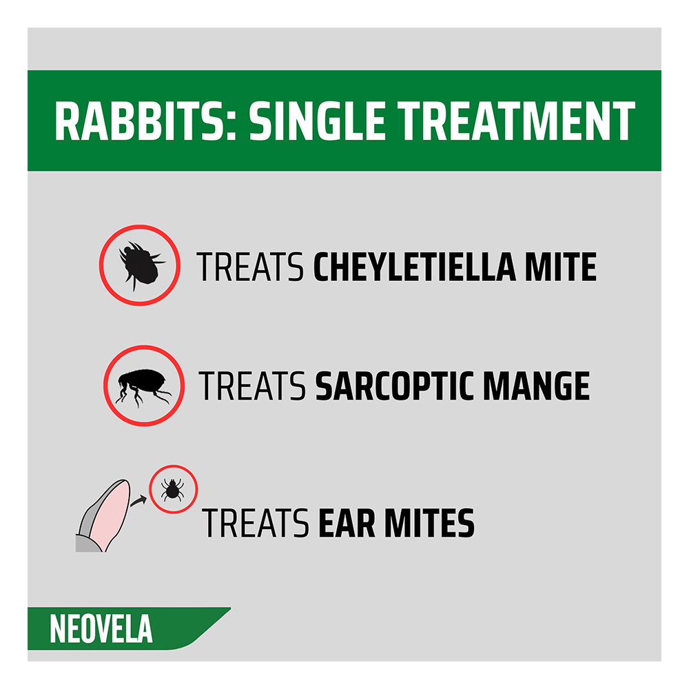 Neovela (Selamectin) Flea and Worming For Puppies and Kittens Upto 2.5 Kg Pink