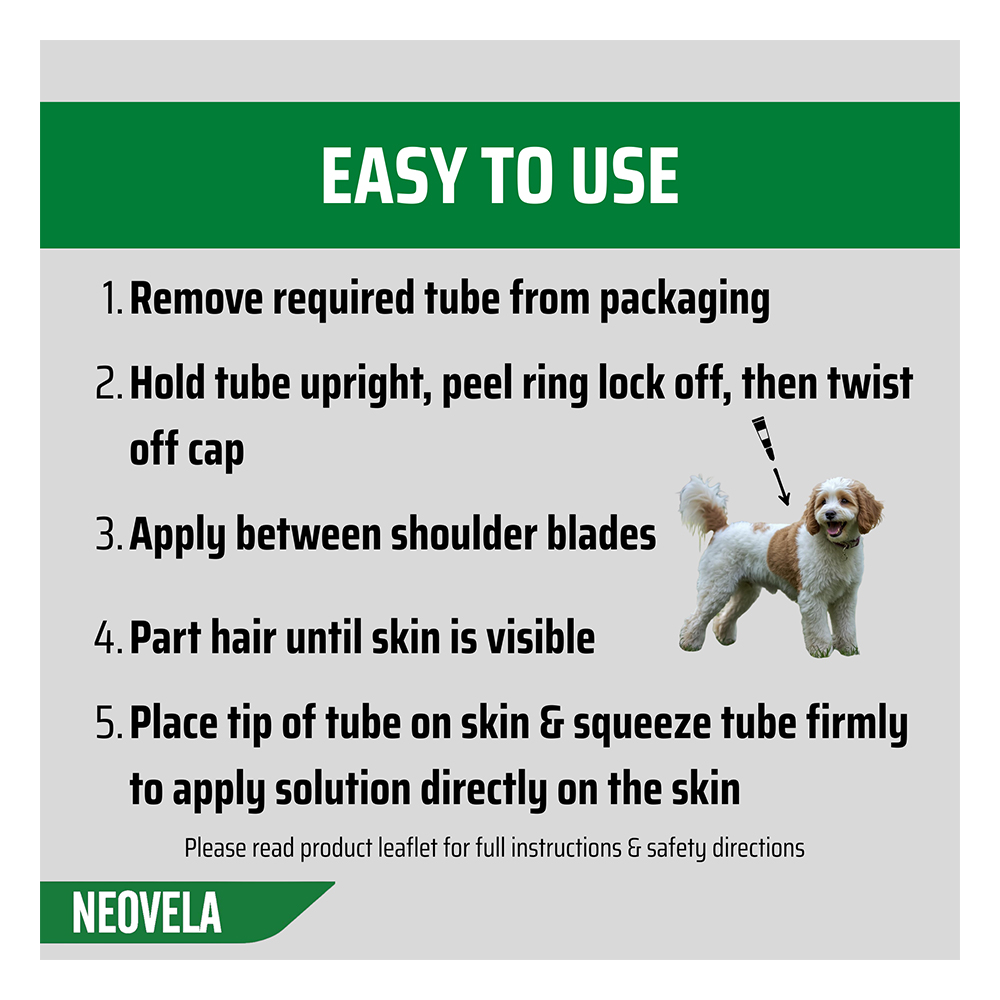 Neovela (Selamectin) Flea and Worming For Dogs 2.5 - 5 Kg Purple