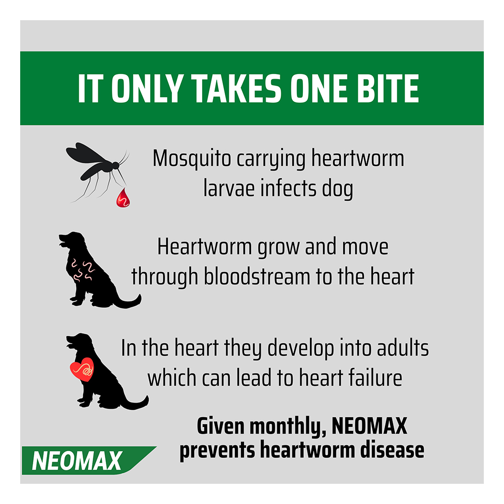 Neomax Allwormer Tablets For Small Dogs 0.5 To 5 Kg