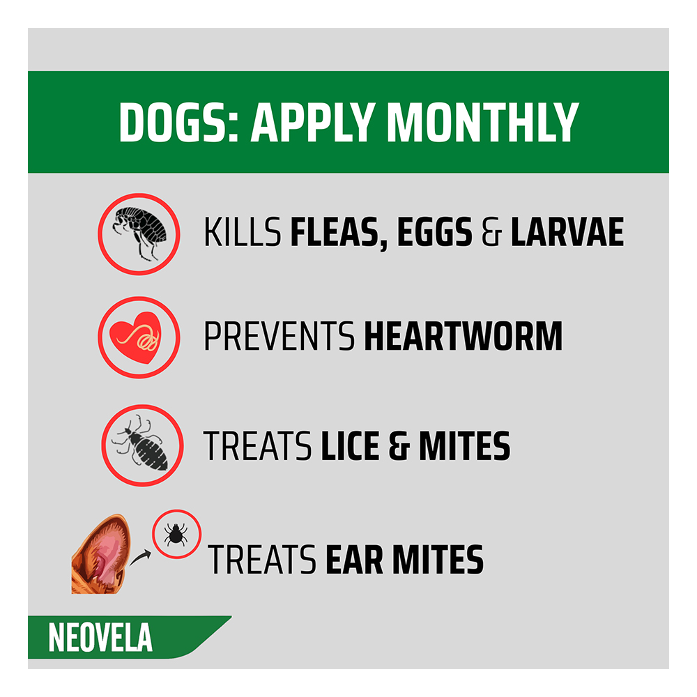 Neovela (Selamectin) Flea and Worming For Puppies and Kittens Upto 2.5 Kg Pink
