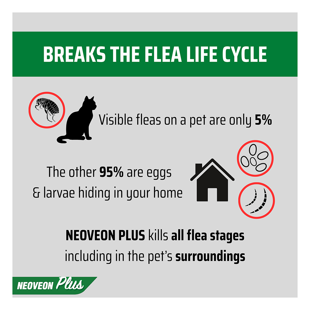 Neoveon Plus Fleas and Lice For Cats