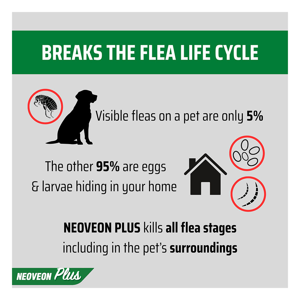 Neoveon Plus Flea and Tick For Medium Dogs 10 to 20kg Blue