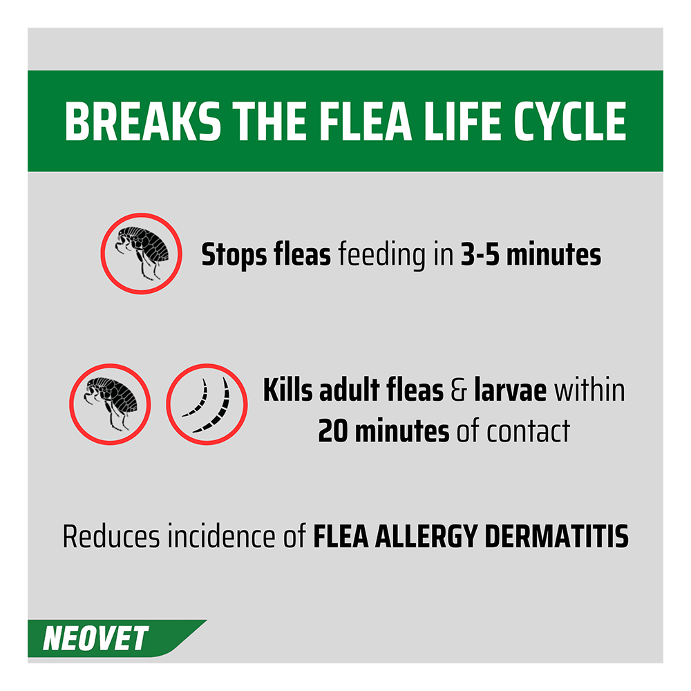 Neovet Flea and Worming For Cats over 4kg Purple