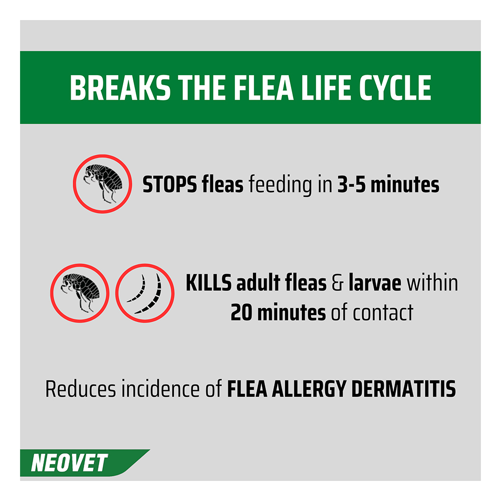 Neovet Flea and Worming For Medium Dogs 4 to 10kg Aqua