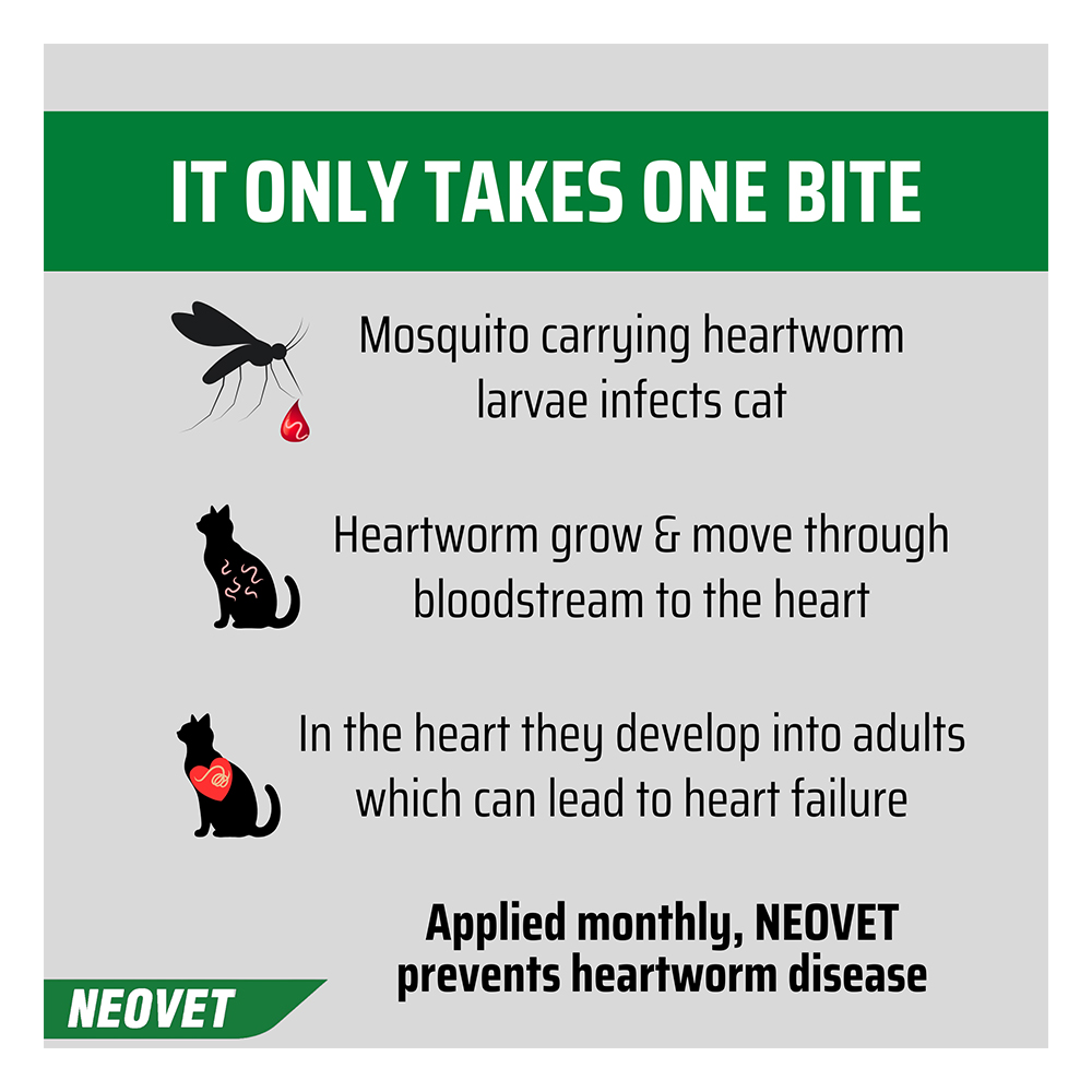 Neovet Flea and Worming For Cats over 4kg Purple