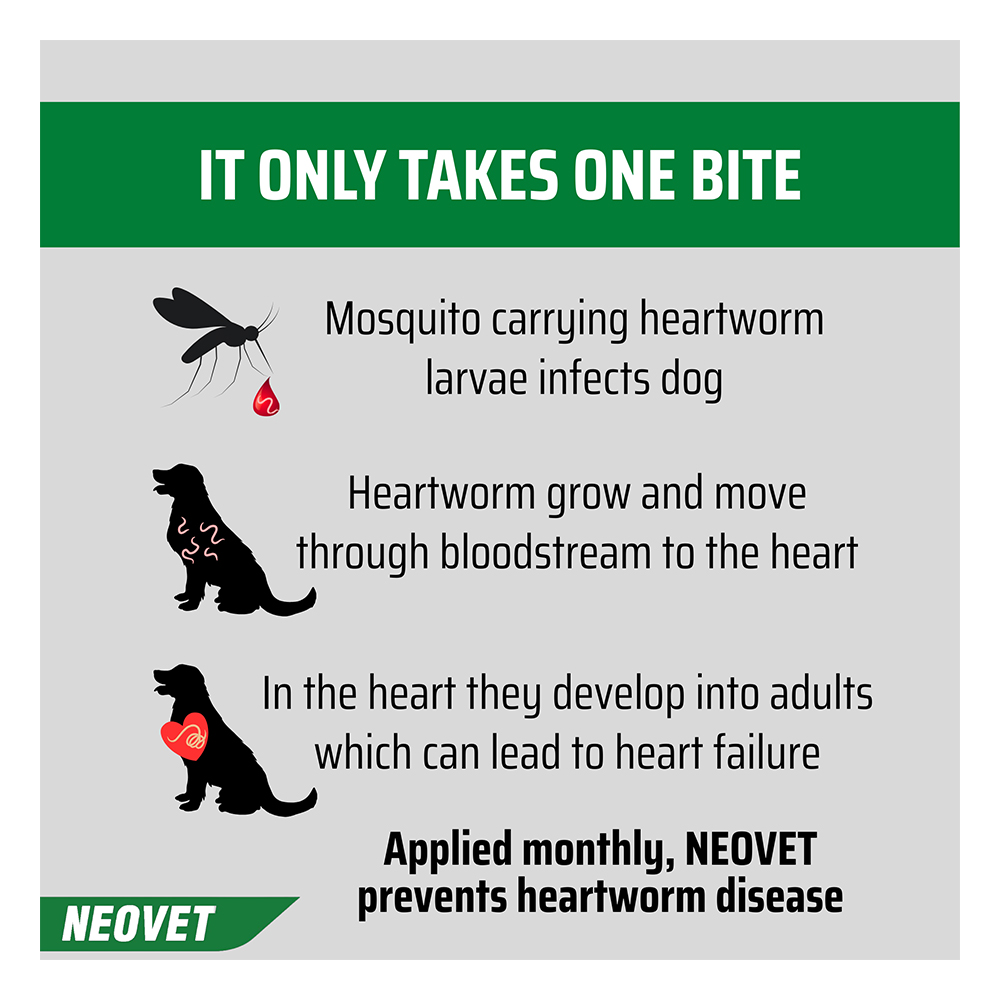Neovet Flea and Worming For Medium Dogs 4 to 10kg Aqua