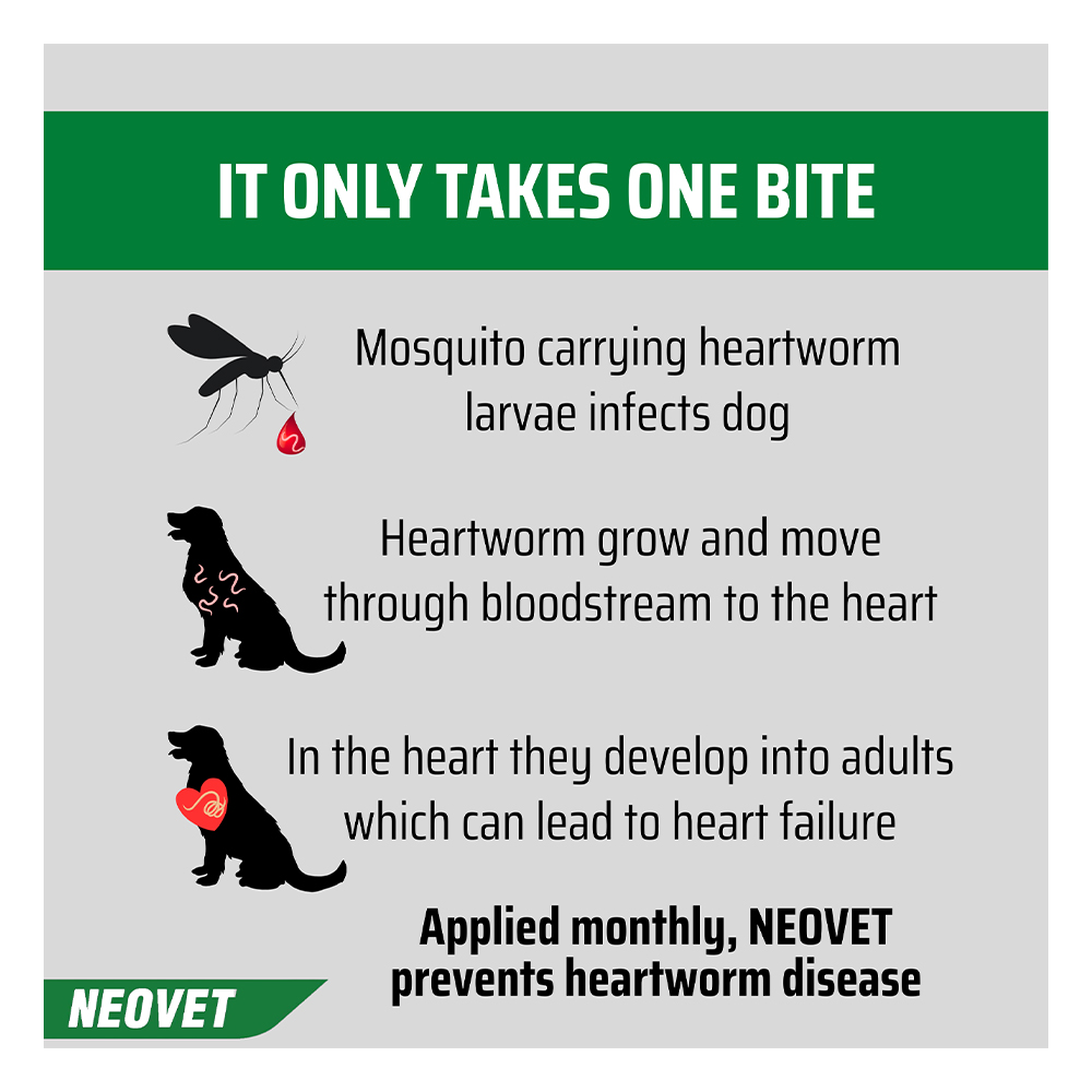 Neovet Flea and Worming For Extra Large Dogs Over 25Kg Blue