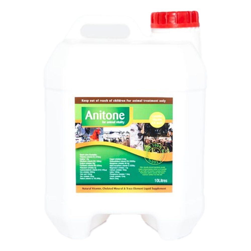 Anitone Wellness & Vitality for Animals