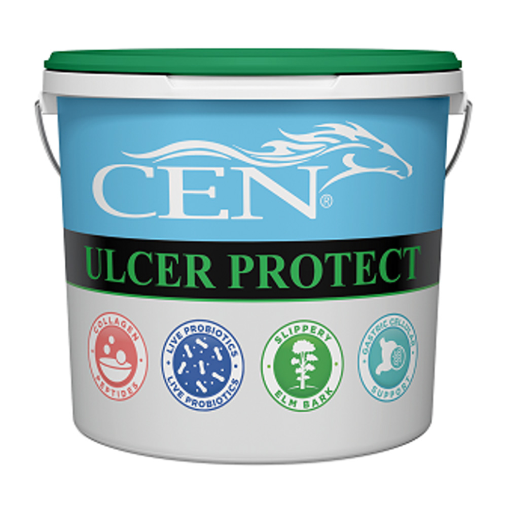 CEN Ulcer Protect Horse Supplement