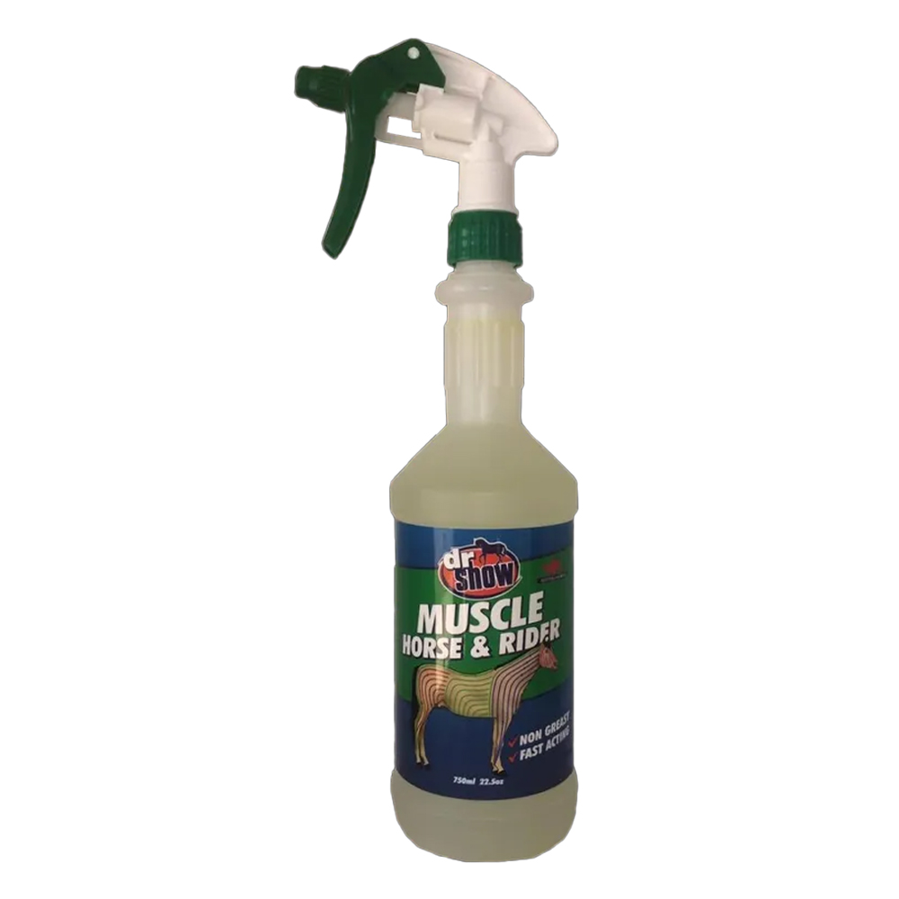 Dr Show MUSCLE Horse & Rider for Horse Supplies