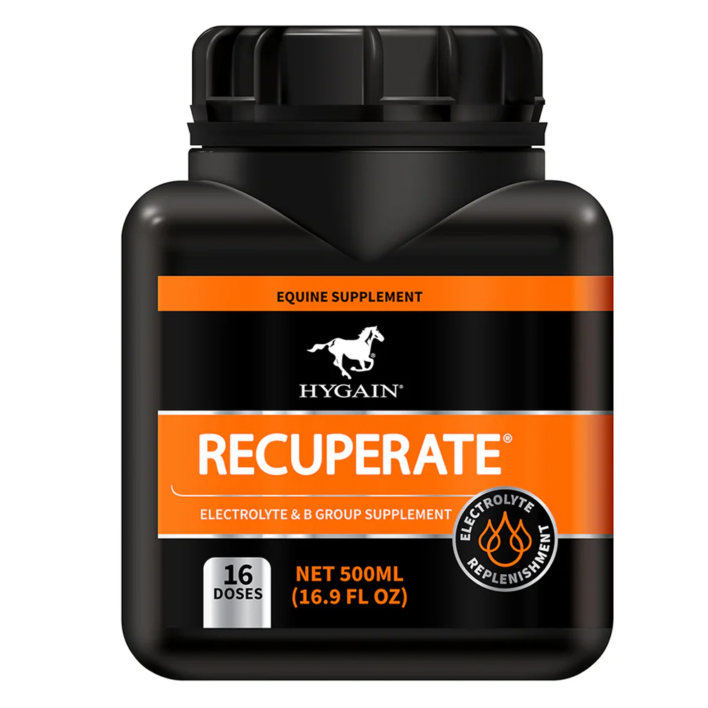 Hygain Recuperate Electrolyte & B Group Supplement for Horse for Horse Supplies