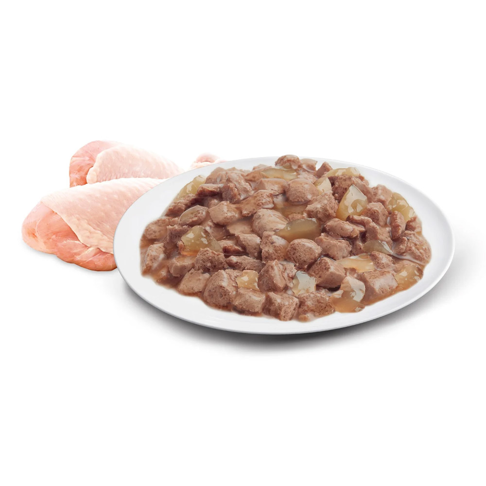 Advance Adult with Chicken in Jelly Wet Cat Food 85gm
