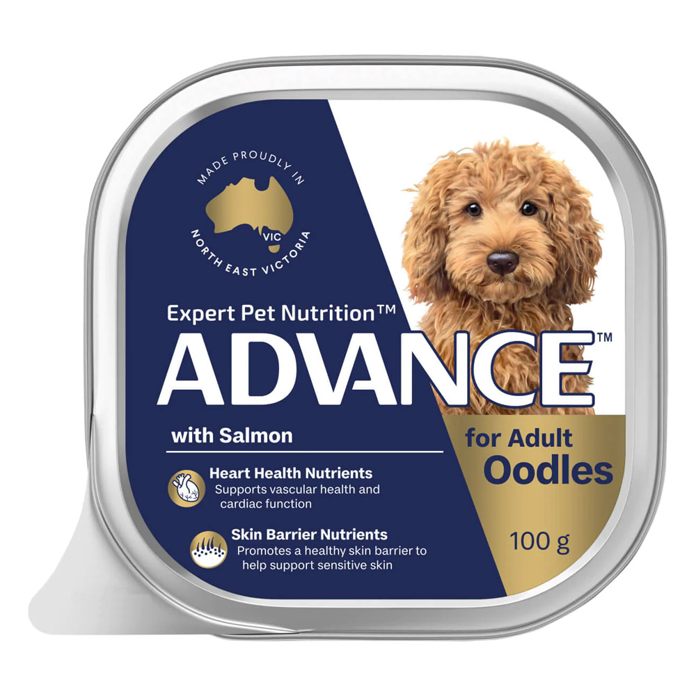 Advance Oodles Adult with Salmon Wet Dog Food 100gm