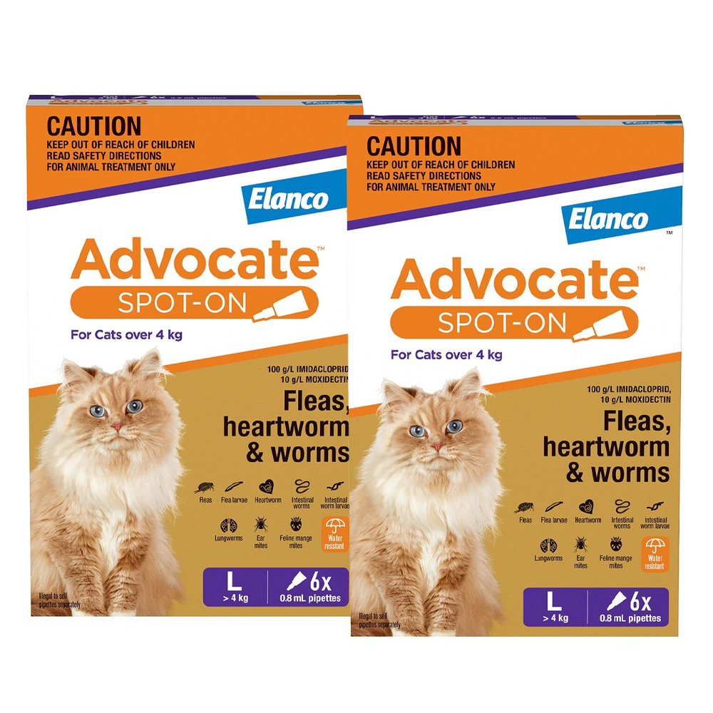 Advocate For Cats Over 4Kg (Purple)