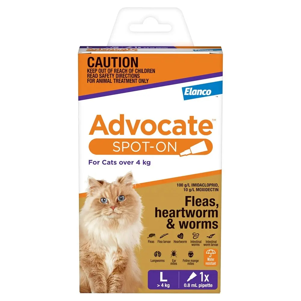 Advocate For Cats Over 4Kg (Purple)