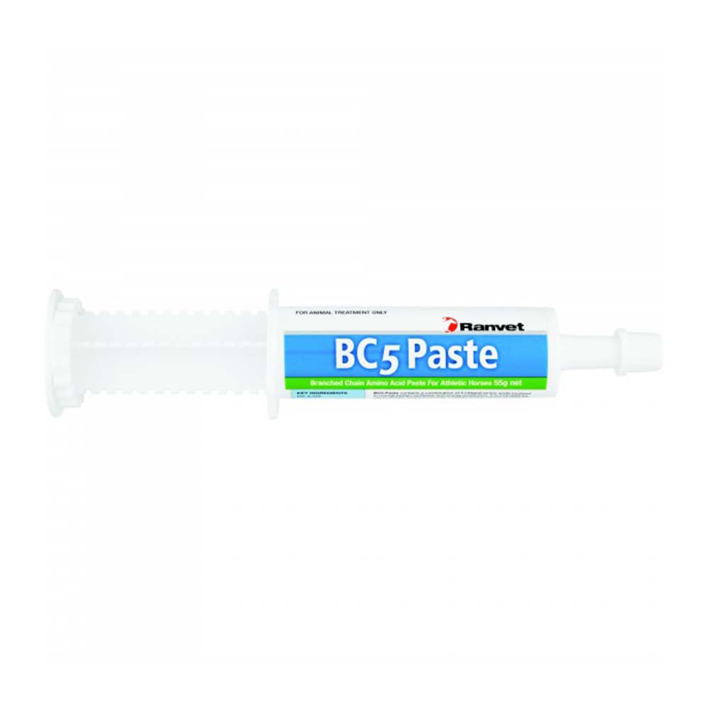 Ranvet BC5 Amino Acids Paste for Horse Supplies