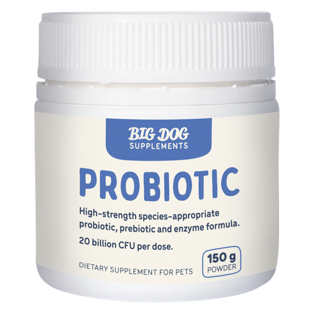 Big Dog Probiotics for Dogs