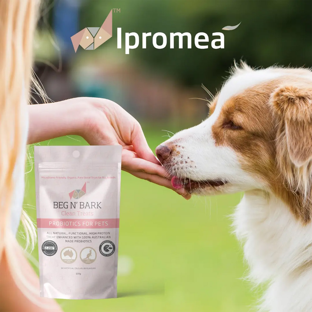 Ipromea BEG N BARK Probiotic Clean Treats for Dogs