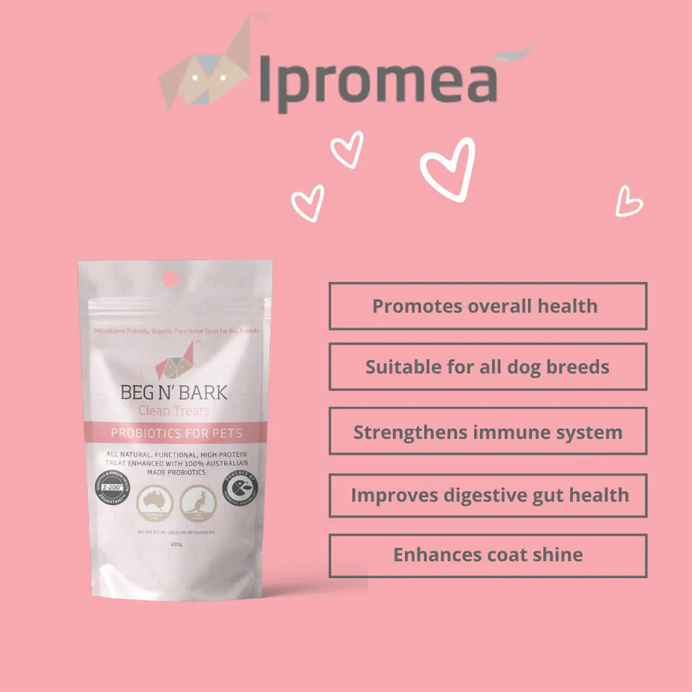 Ipromea BEG N BARK Probiotic Clean Treats for Dogs
