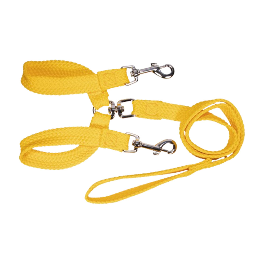 Beau Pets Double Nylon - Brace Lead - Gold