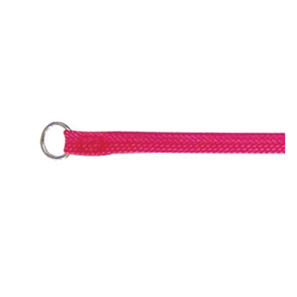 Beau Pets Single Nylon Choker Lead - Pink for Dog Supplies