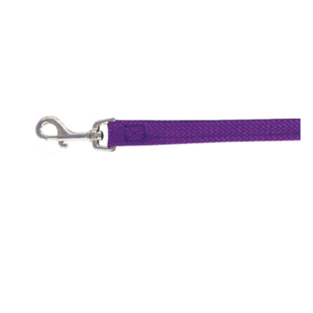 Beau Pets Single Nylon Lead for Dogs for Dog Supplies