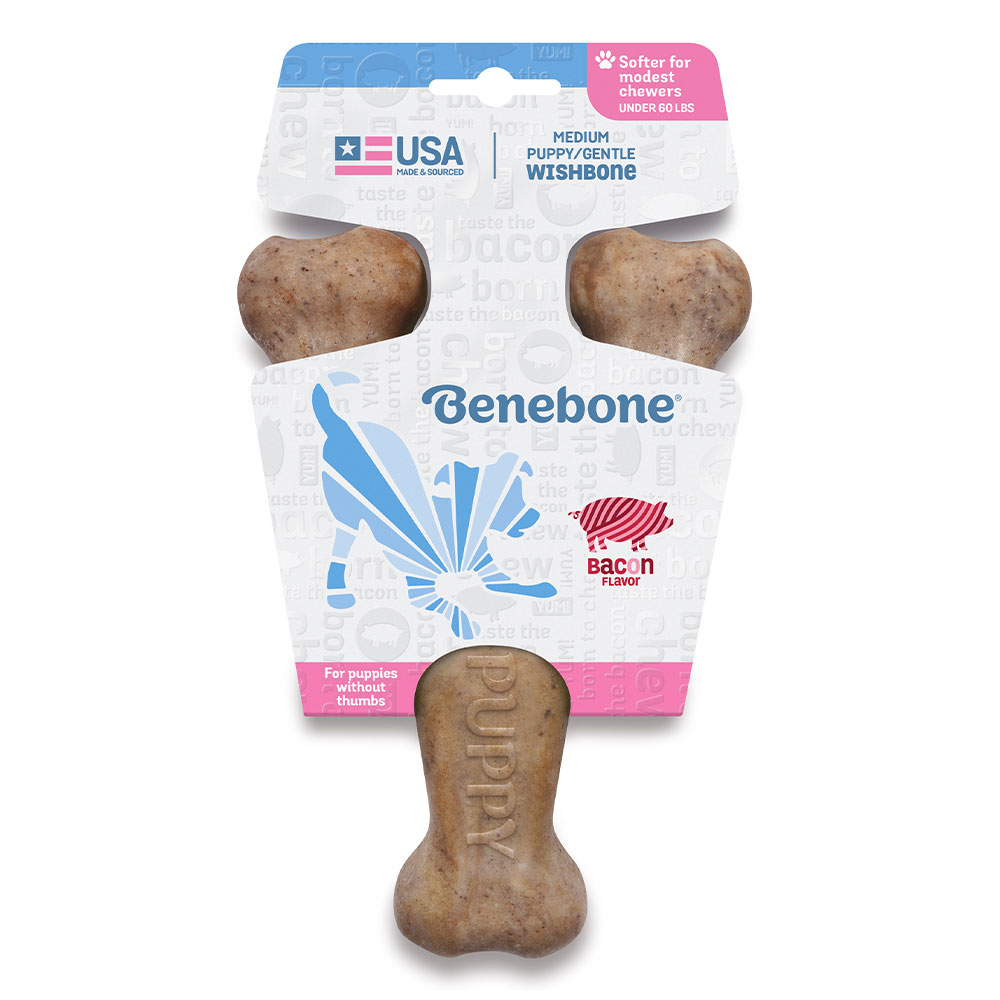 Benebone Wishbone Bacon Chew Toy For Puppy Medium 1 Piece