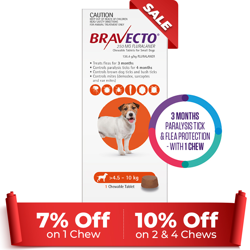 Bravecto For Small Dogs 4.5-10kg (Orange) 1 Chew