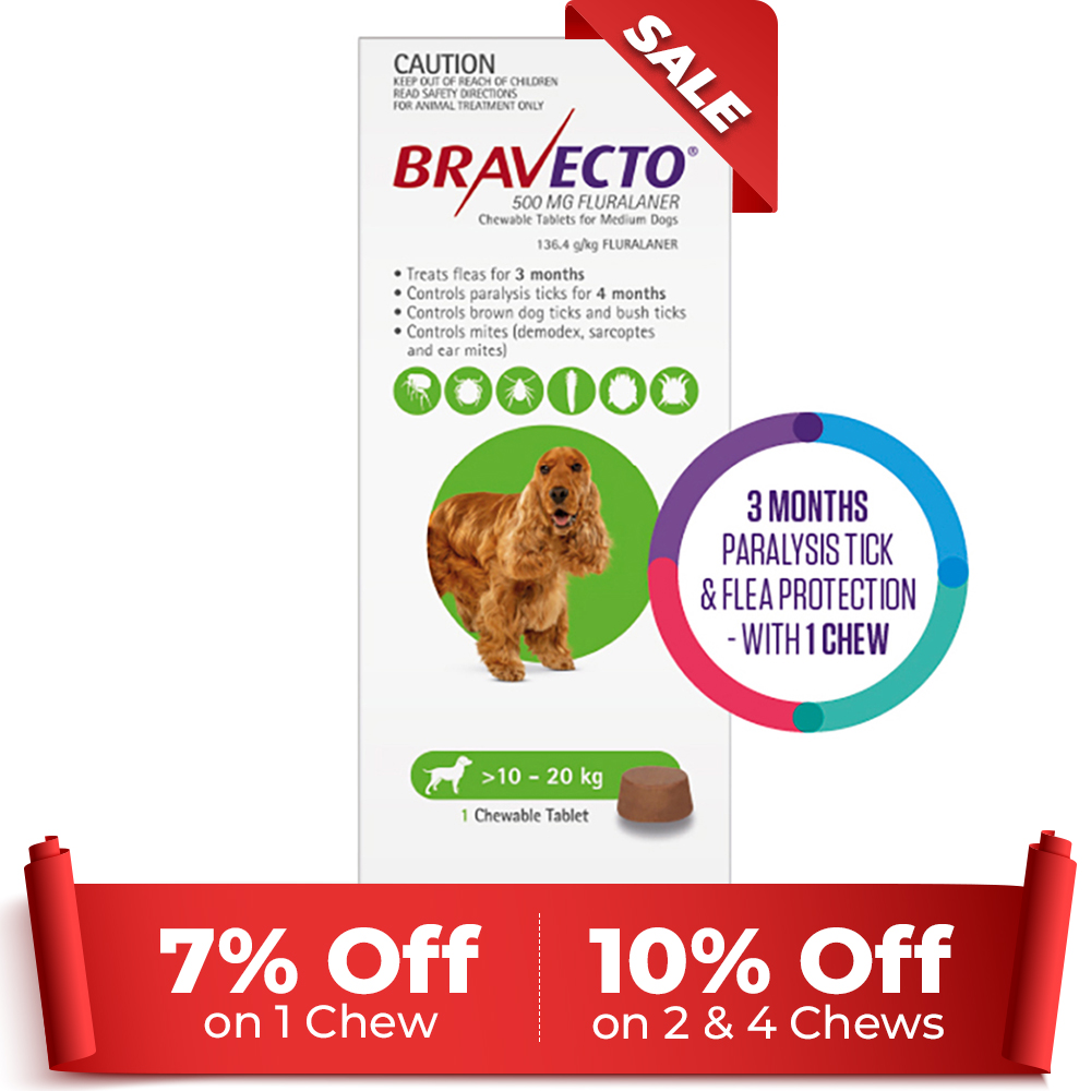 Bravecto For Medium Dogs 10-20kg (Green) 1 Chew