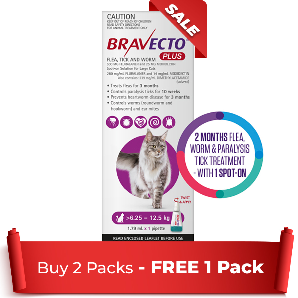 Bravecto Plus For Large Cats 6.25 – 12.5 Kg (Purple) 1 Pack