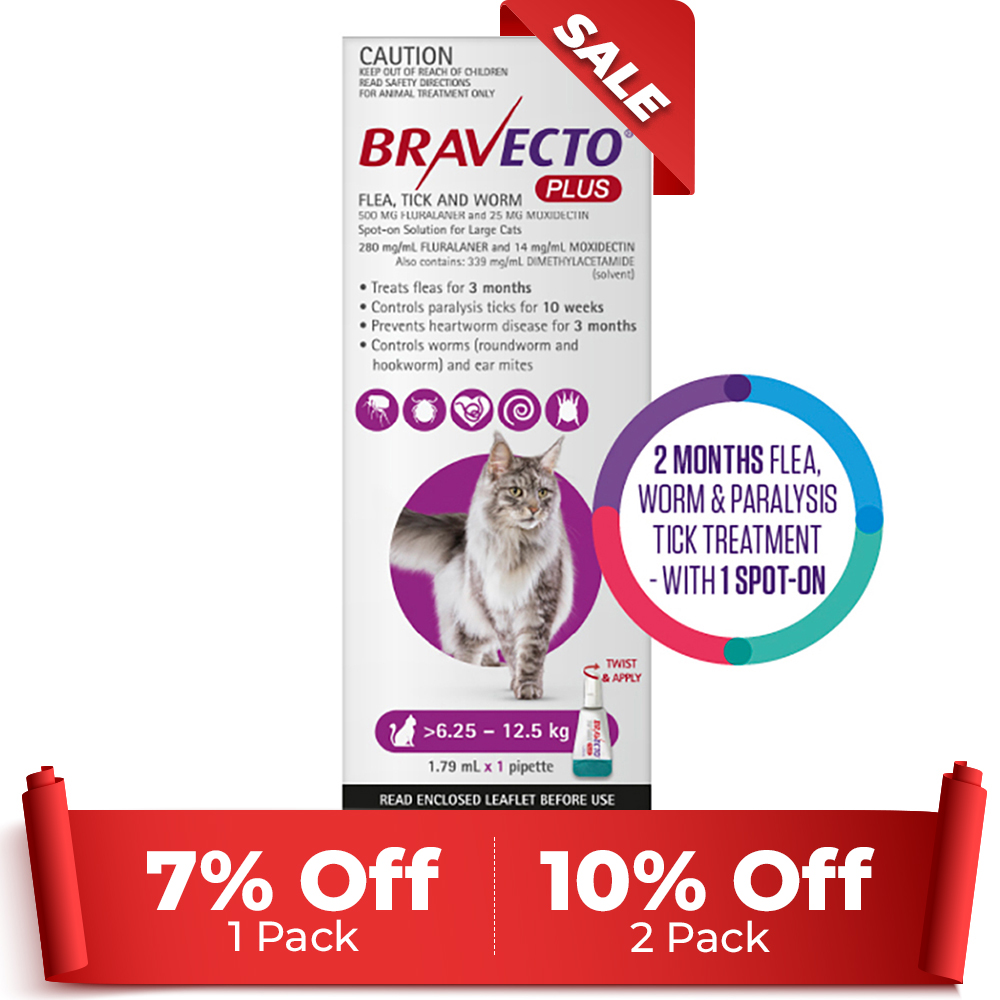 Bravecto Plus For Large Cats 6.25 – 12.5 Kg (Purple) 1 Pack