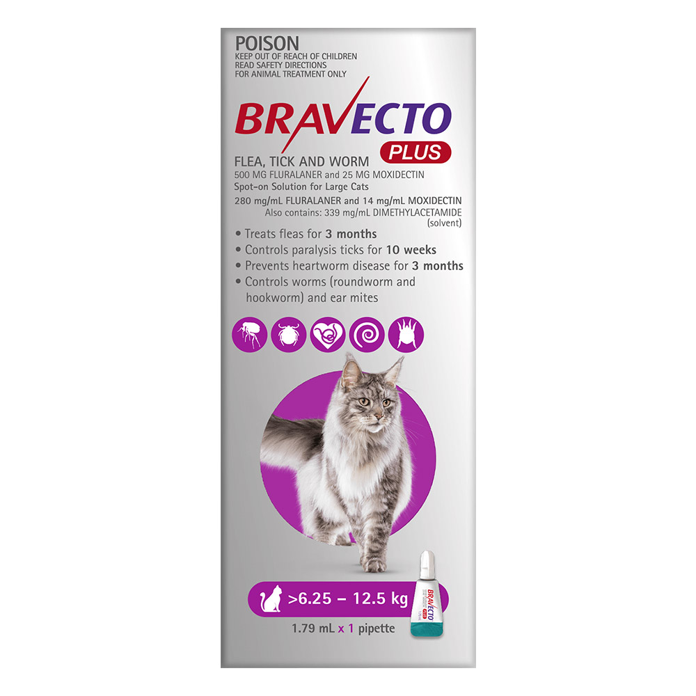 Bravecto shop cat plus
