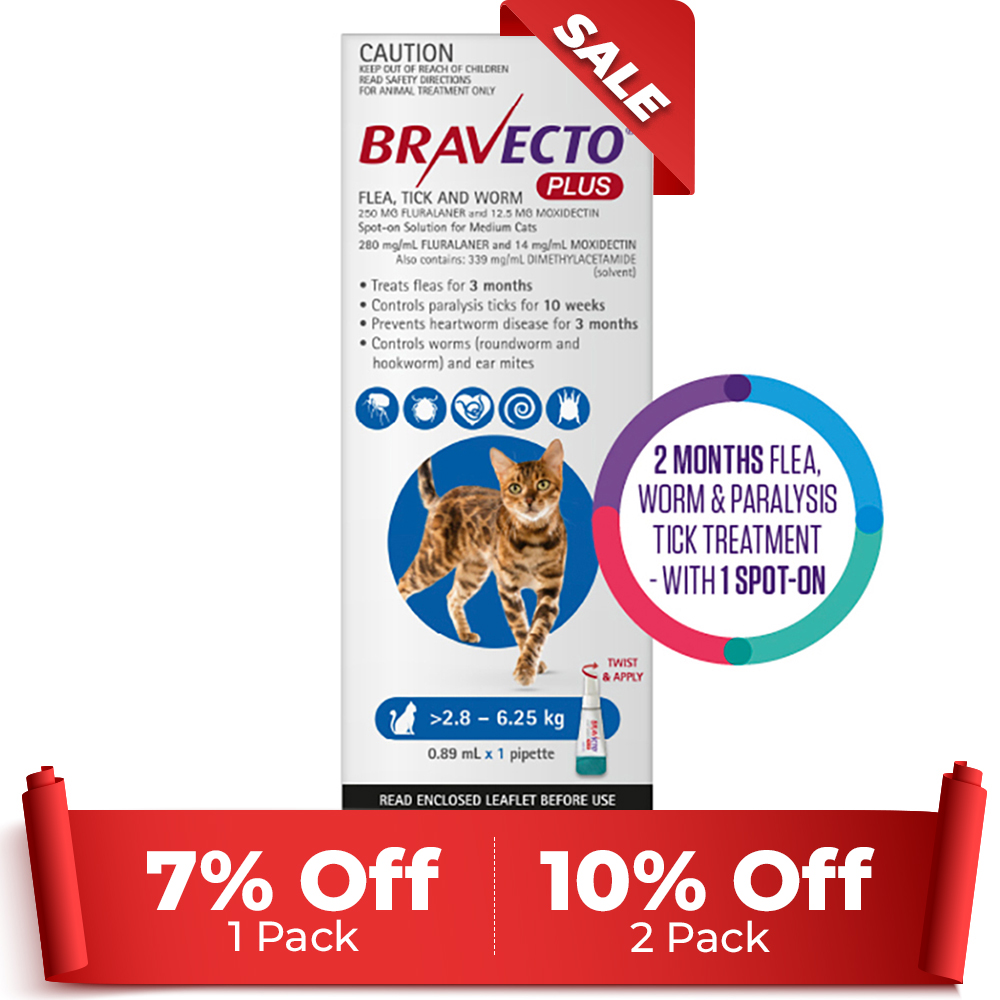 Bravecto Plus for Medium Cats 2.8 – 6.25 kg (Blue)